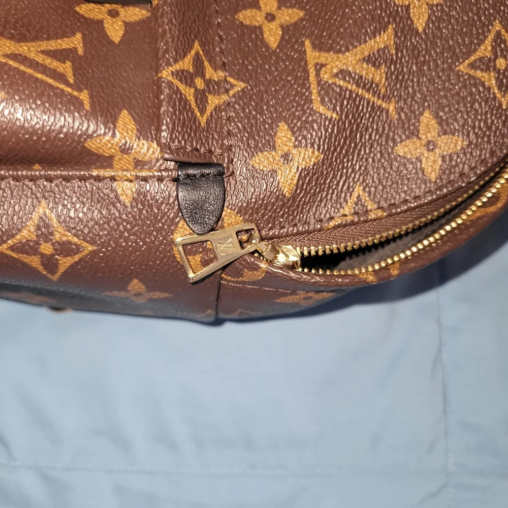 Louis Vuitton Palm SPRINGS Mini Brown Monogram Backpack - Picture 4 of 15
